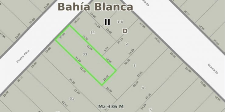 Pedro Pico 1526 – Lote